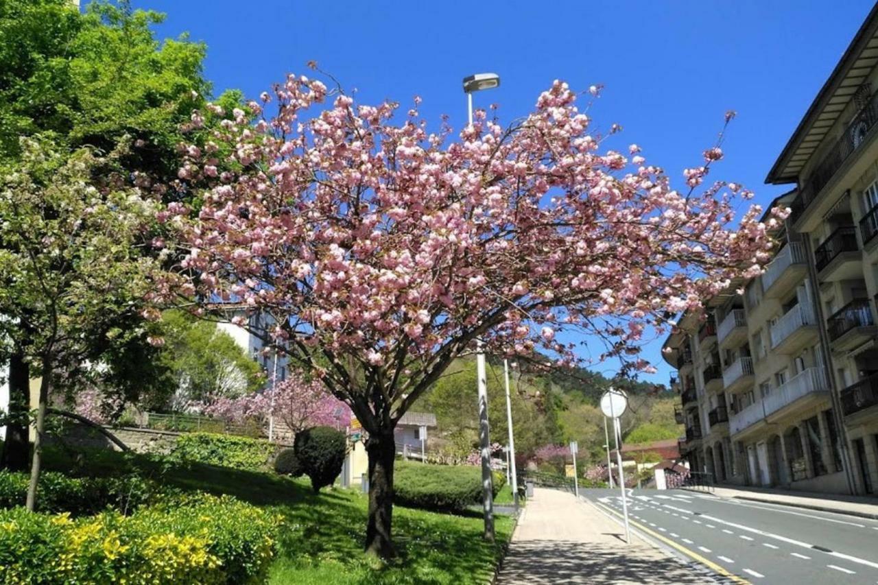 Apartmán Kaixo Museum Con Parking Gratis Zarautz Exteriér fotografie